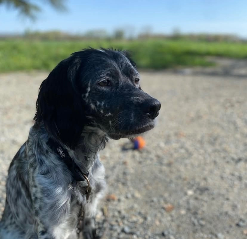 Udji Des Sentiers De La Douyne
